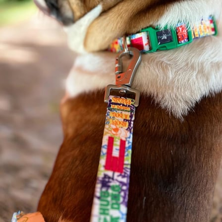 Design Köpek Gezdirme Kayışı – Geri Dönüştürülmüş, Kadifemsi Dokulu, Çift Kilitli Karabina Kanca, 360° Dönüşlü, Dayanıklı &amp; Şık Tasarım, Beyaz, Large