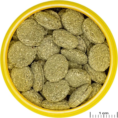 100 Adet Jbl Pro Novo Pleco Wafer M Vatoz İçin Tablet Yem