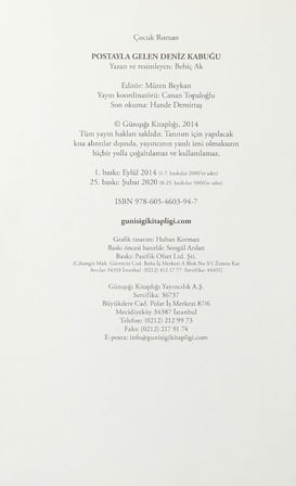 Postayla Gelen Deniz Kabuğu