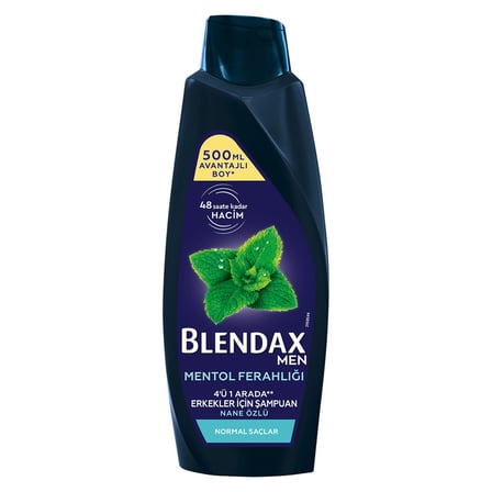 4 Adet Blendax Nane Özlü Erkek Şampuanı 500 Ml