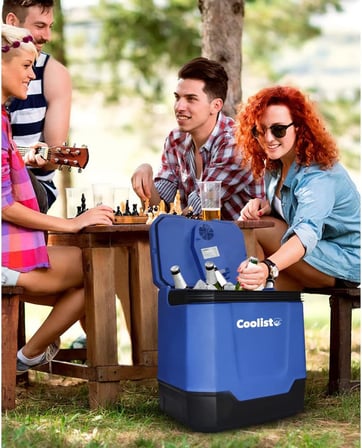 CLT33 12Volt/230Volt AC/DC 33 Litre Sıcak/Soğuk Oto Buzdolabı