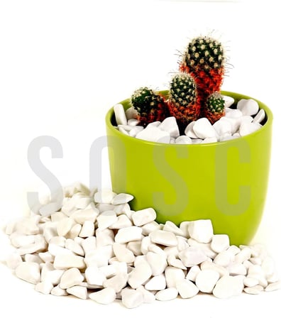 Beyaz Çakıl taşı Dolomit Taşı Bahçe süsü Akvaryum taşı Dere çakıl taşı 1-2 cm 3 Kg