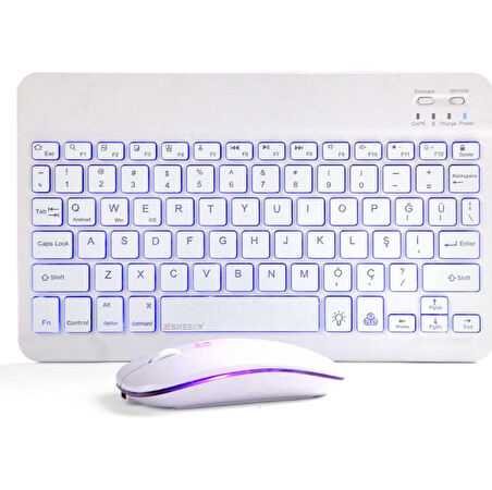 ZR954 Beyaz Rgb Km Set