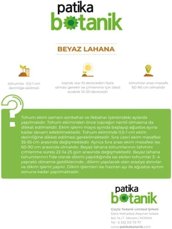 200 Adet Yerli Ata Beyaz Lahana Tohumu (Yalova)