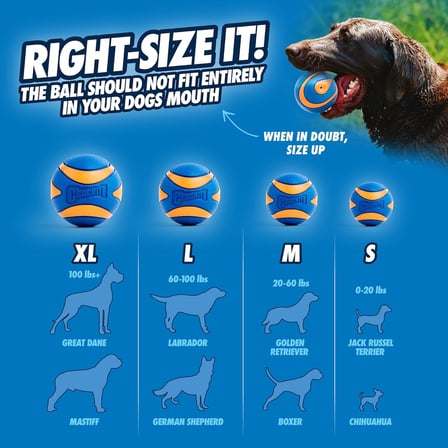 Chuckit! Ultra Squeaker Sesli Oyun Topu (XL) - Köpekler İçin Dayanıklı, Yüksek Zıplama Kabiliyetine Sahip, Doğal Kauçuk Top