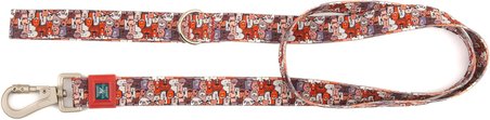 Design Köpek Gezdirme Kayışı – Geri Dönüştürülmüş, Kadifemsi Dokulu, Çift Kilitli Karabina Kanca, 360° Dönüşlü, Dayanıklı &amp; Şık Tasarım, Paws,Small