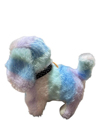 Renkli Pilli Tasmalı Yürüyen Köpek