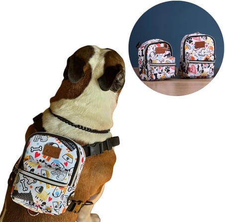 Köpek Sırt Çantası – 2’si 1 Arada Göğüs Tasması Fonksiyonlu, Geri Dönüştürülmüş, Su Geçirmez, Ayarlanabilir, Küçük &amp; Büyük Irklar için, Çantalı Göğüs Tasması,Small,Whitebone