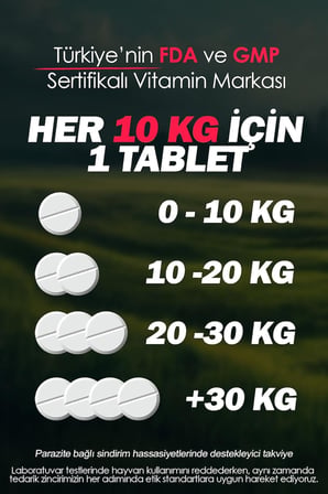 Kedi İçin %100 İç Bitkisel Parazit Tableti ve Hapı 2 Tablet