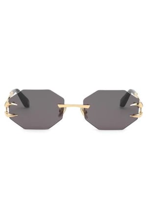 G-ROBERTO-CAVALLI-005-0300-59-2023*