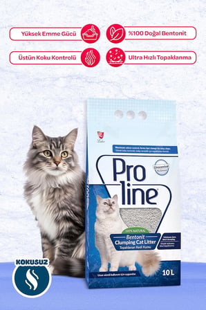 Proline Bentonit Kedi Kumu, 10 L