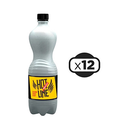 Hotline Enerji İçeceği 1 lt x 12 Adet