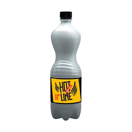 Hotline Enerji İçeceği 1 lt x 12 Adet