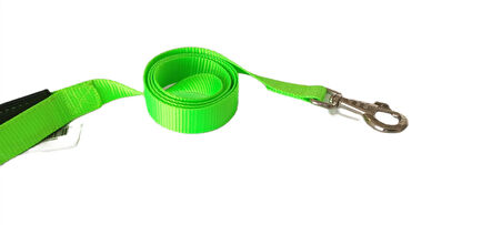 Köpek Gezdirme Kayışı 2 cm x 115 cm Yeşil