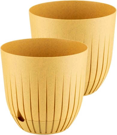 Çizgi Saksı (2, Sarı, 10 Litre)