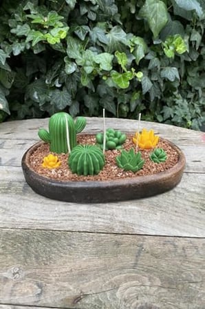 Purpusorum Sukulent Mum Kalıbı (Silikon)