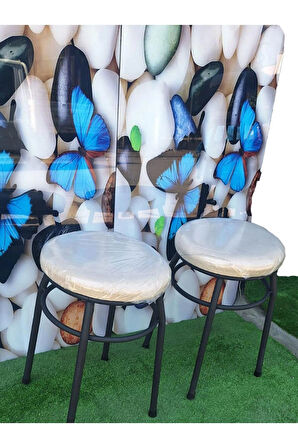 2'li Tabure Statık Ayaklı