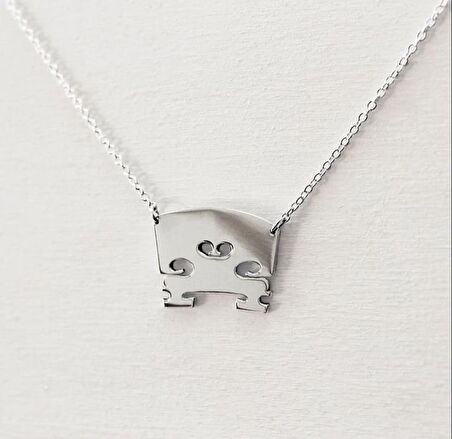 Herşey Nota Keman Kolye Gümüş 925 Ayar