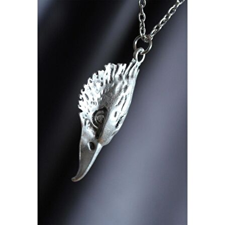 Herşey Nota Uçlu Kartal Kafası Kolye  