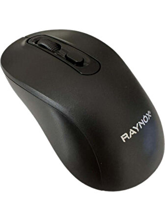 Raynox RX-M207 Kablosuz Mouse