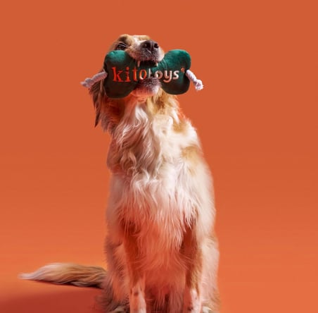 Toys Kemik Peluş Köpek Oyuncağı