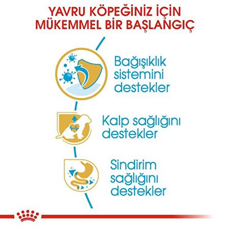 Royal Canin Cavalier King Charles 1.5 kg Yavru Köpek Maması