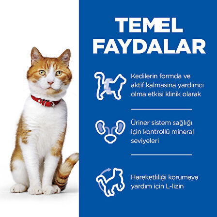 Hill's Sterilised Kısırlaştırılmış Tavuklu Kedi Mamasi 3 Kg