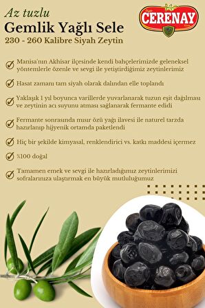 Az Tuzlu Gemlik Yağlı Sele Sofralık Siyah Zeytin 231-260 Kalibre 10 KG