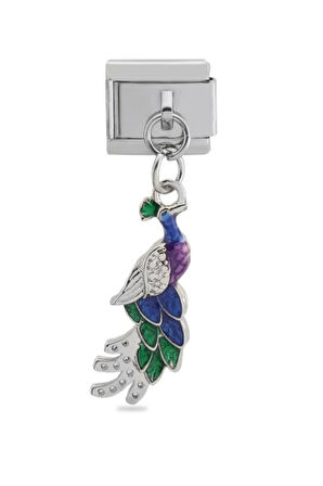 Tavus Kuşu 9 Mm Paslanmaz Çelik Italyan Bileklik Charmı