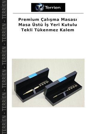 Premium Çalışma Masası Masa Üstü İş Yeri Kutulu Tekli Tükenmez Kalem