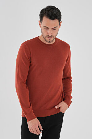 ALEXANDERGARDI Bisiklet Yaka Triko Kazak