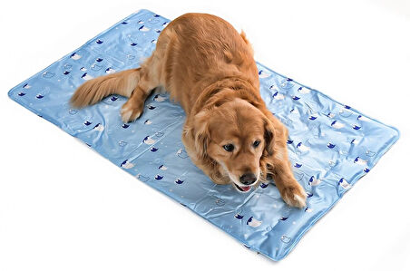Köpek Serinletici - Soğutucu Yatak Large 60x90 cm