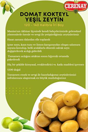 Domat Çizik Kokteyl Yeşil Zeytin İri Boy 121-140 Kalibre 10 KG