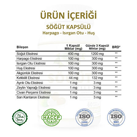 Söğüt Kapsül (WİLLOW CAPSULE)