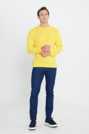 Erkek Sarı Standart Fit Normal Kesim Bisiklet Yaka Triko