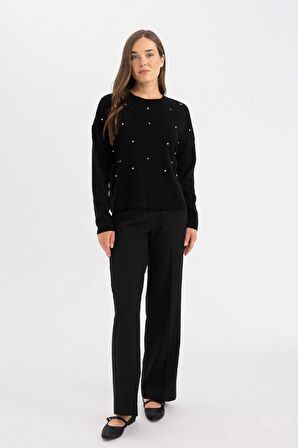 DeFacto Regular Fit Bisiklet Yaka Taşlı Siyah Triko Kazak R0726AZ24WNBK27