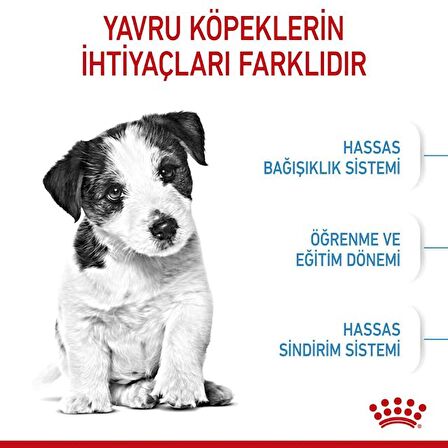 Royal Canin Küçük Irklar için  Yavru Kuru Köpek Maması 4kg