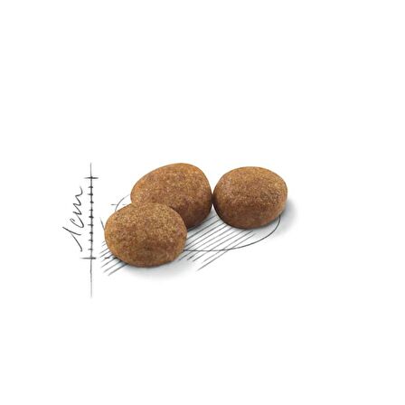 Royal Canin Sterilised37 Kısırlaştırılmış Kediler için Kuru Kedi Maması 4kg
