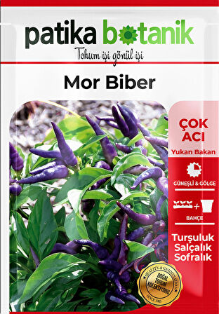 200 Adet Mor Cin Biber Tohumu