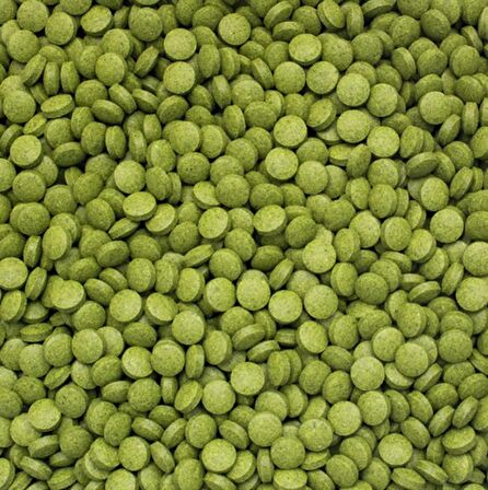 1000 Gram Tropical 3-Algae Tablets B - Tablet Balık Yemi