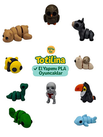 10'lu set (baykuş eşek salyangoz tukan kuşu köpek balığı bukalemun…)