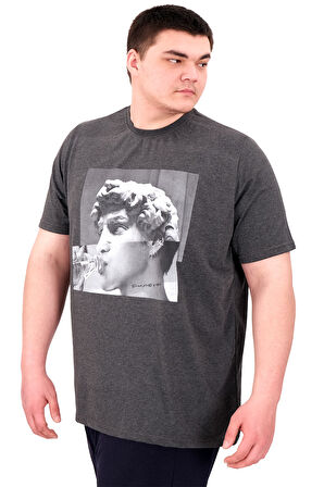 Mode XL Büyük Beden Erkek T-Shirt Bisiklet Yaka STATUE U25027 Antrasit