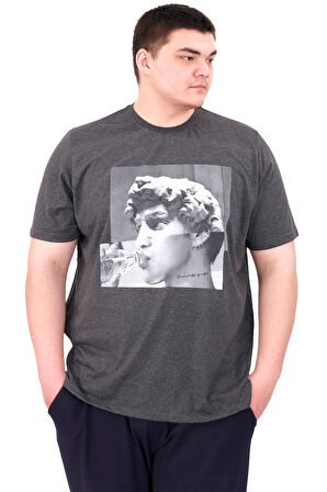 Mode XL Büyük Beden Erkek T-Shirt Bisiklet Yaka STATUE U25027 Antrasit