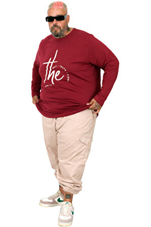 Mode XL Erkek Uzun Kol T-Shirt THE SED U25103