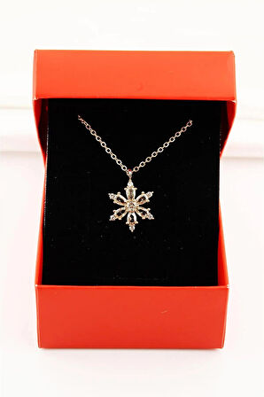 Kutulu Aster Çiçeği Tasarımlı Zirkon Taşlı Kolye