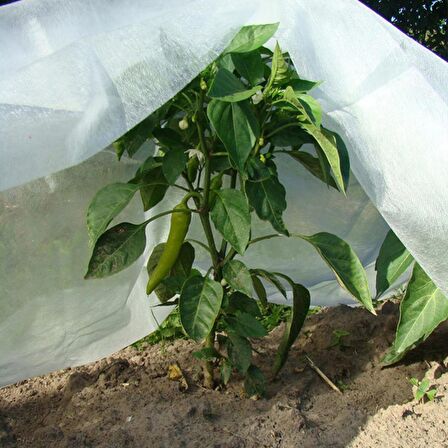 2x5 METRE 30gr AGRİL ISI DON ÖRTÜSÜ, ZİRAİ DON KIRAĞI ÖRTÜ KARPUZ ÇİLEK ÖRTÜSÜ, SERA TOPRAK ÖRTÜSÜ ELYAF BİTKİ KORUMA ÖRTÜSÜ