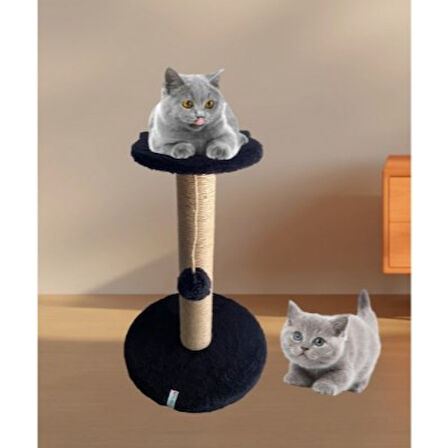 Reyo Pet Stepli Kedi Tırmalama Tahtası Siyah