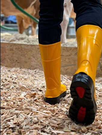 Techno Boots Poliüretan Soğuğa Dayanıklı Kısa Çelik Burunlu Sarı Çizme