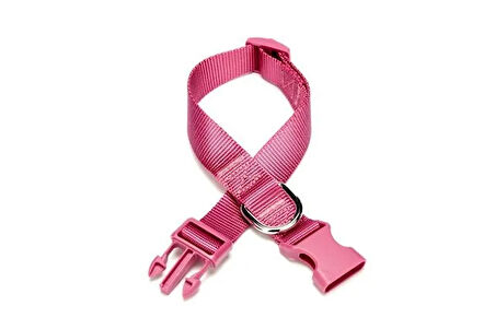Dokuma Köpek Boyun Tasması 2 cm x 30-45 cm Mor