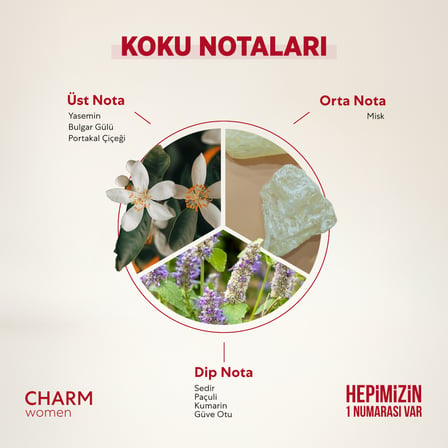 Bargello CHARM EDP Çiçeksi Kadın Parfüm 50 ml  